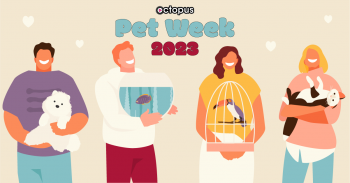 Image for Pet Week 2023 post